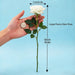 SHEIN 1 pieza Flor de rosa blanca artificial, textura realista - Quierox - Tienda Online