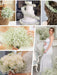 SHEIN 1 pieza Ramo de flores artificiales de zanahoria silvestre - Quierox - Tienda Online