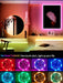 Shein 1 tira de luces LED de 16.4 ft/ 5M - Quierox - Tienda Online