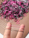 Shein 2000 piezas Ligas pequeñas elásticas para el cabello de mujer - Quierox - Tienda Online