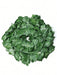 Shein 2M Planta artificial de hiedra verde con hojas de seda para colgar en la pared, decoración para el hogar - Quierox - Tienda Online