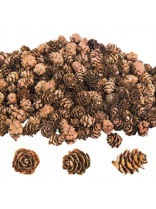 Shein 50 piezas de piñas artificiales de pino para hacer tú mismo - Quierox - Tienda Online