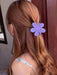 Shein 6 piezas de pinzas para el cabello con flores, dulces y lindas, mate, de colores, para mujeres - Quierox - Tienda Online