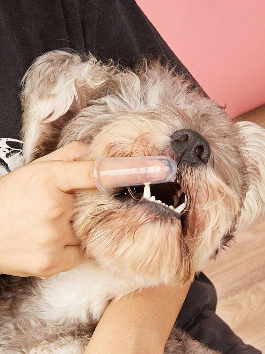 Shein Cepillo de dientes de dedo para mascotas, para cachorros y gatos - Quierox - Tienda Online