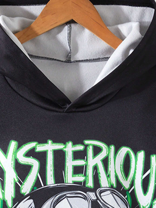 SHEIN Conjunto de 2 piezas de niño con sudadera con capucha y pantalones - Quierox - Tienda Online