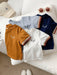 SHEIN Conjunto de 4 piezas de camisetas de manga corta de punto con estampado para niño - Quierox - Tienda Online