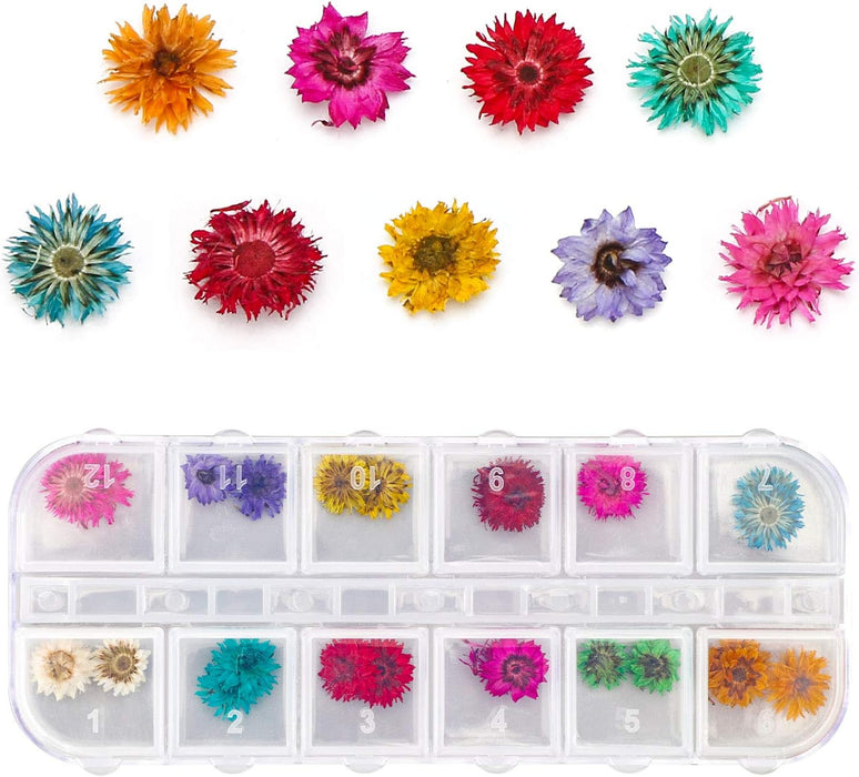 Shein Flores secas para resina para manualidades de resina epoxi, relleno de resina UV, accesorios de decoración - Quierox - Tienda Online