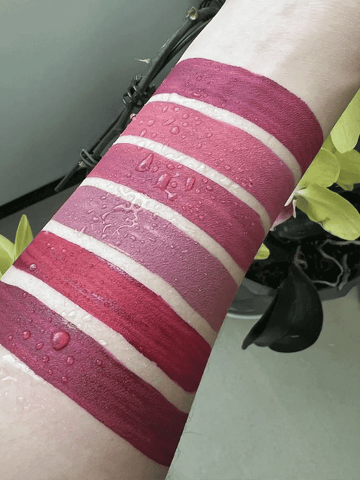 SHEIN HANDAIYAN - Juego de 6 brillos labiales mate, resistentes al agua y antiadherentes - Quierox - Tienda Online