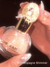 SHEIN SHEGLAM Go Go Glow Bruma iluminadora corporal-Champagne Shimmer - Quierox - Tienda Online