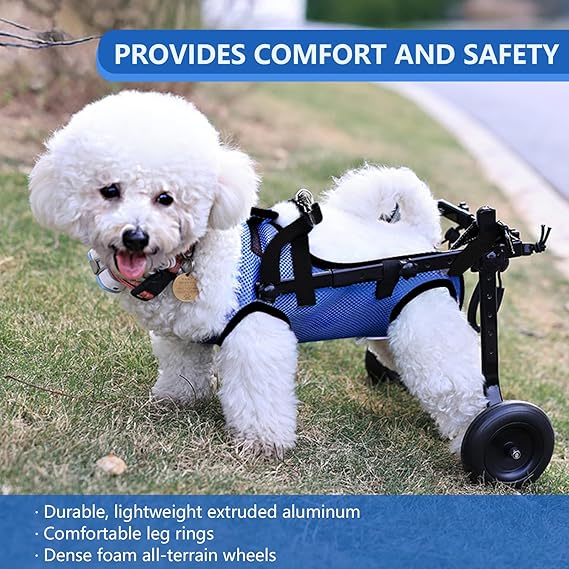 Silla de ruedas para perros actualizada para patas traseras(azul, S) - Quierox - Tienda Online