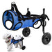 Silla de ruedas para perros actualizada para patas traseras(azul, S) - Quierox - Tienda Online