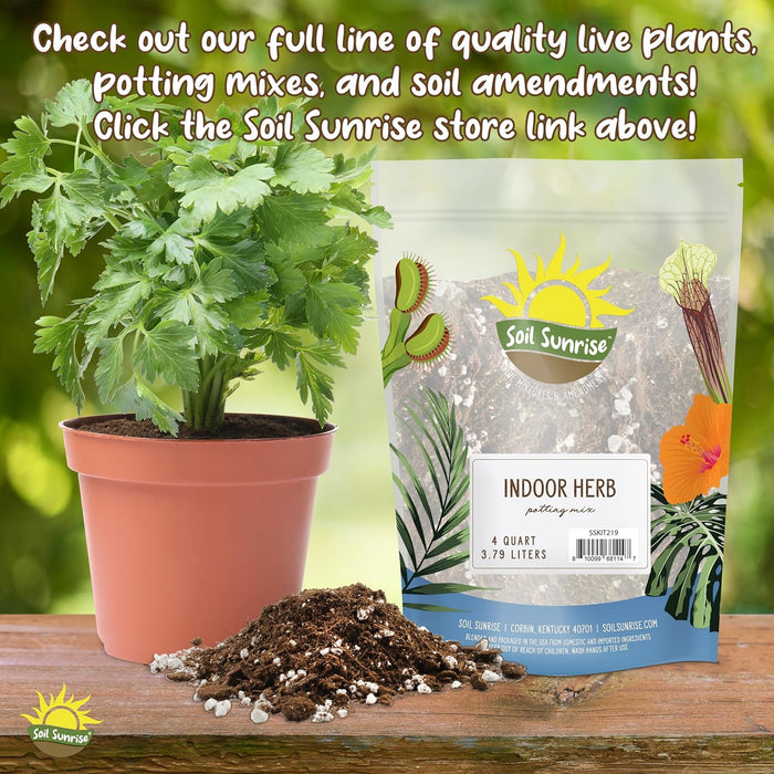 Soil Sunrise Mezcla para macetas de plantas tropicales, ideal para jardinería - Quierox - Tienda Online