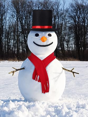 SOMSOC Paquete de 8 disfraces de invierno helado de muñeco de nieve - Quierox - Tienda Online