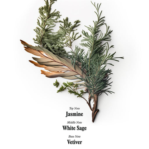 Suero Corporal Uni 24 Horas - Hidratante ligero con aloe vera orgánico 375ml - Quierox - Tienda Online