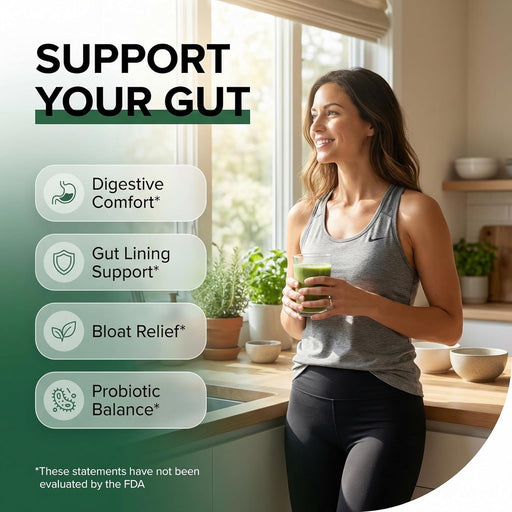 Suplemento de fibra GutResto en polvo de cáscara de psyllium probiótico salud intestinal - Quierox - Tienda Online