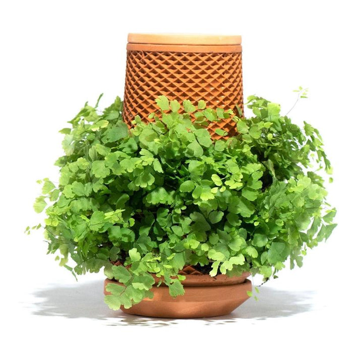 TEVAPLANTER Maceta hidropónica de interior – Innovadora maceta de cerámica ecológico - Quierox - Tienda Online