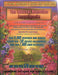 The Natural Remedies Encyclopedia, 7th Edition - Quierox - Tienda Online