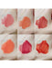 Un brillo labial con textura gelatinosa, con un adorable diseño de osito - Quierox - Tienda Online