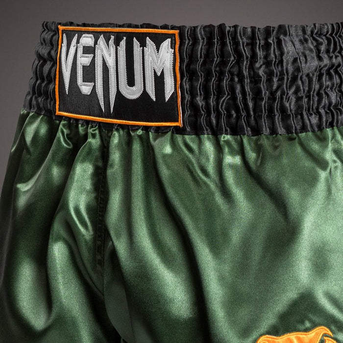 Venum Classic Pantalón corto de Muay Thai - Verde/Negro/Dorado - Quierox - Tienda Online