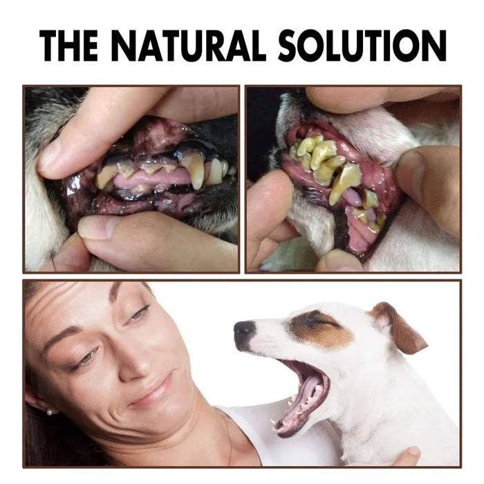 Yegbong Spray De Limpieza Dental Duradero para Mascotas 30ml - Quierox - Tienda Online