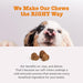 Zesty Paws Probiótico para perros para la flora intestinal, 90 soft chews - Quierox - Tienda Online