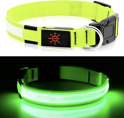 Collar de perro con luces LED, collar de perro con luces LED - Quierox - Tienda Online