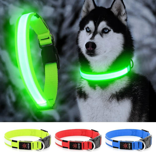 Collar de perro con luces LED, collar de perro con luces LED - Quierox - Tienda Online