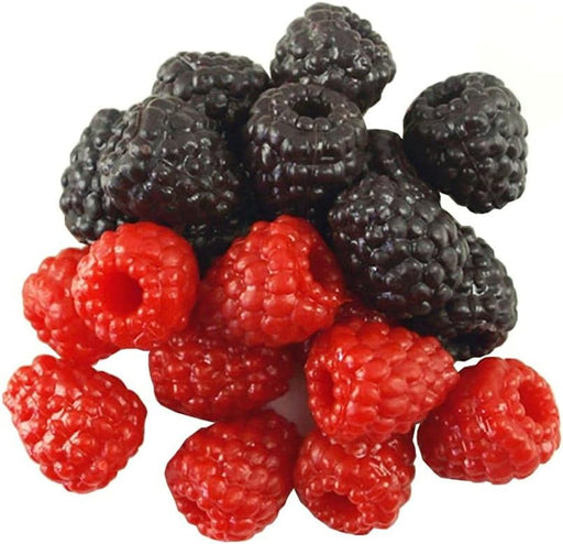 RAYNAG 20 piezas de frambuesas negras artificiales realistas simulación BlackBerry - Quierox - Tienda Online