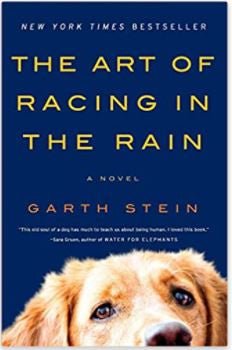 The Art of Racing in the Rain: A Novel (versión en inglés, pasta blanda) - Quierox - Tienda Online