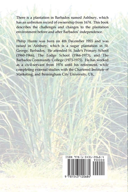 The Seven O'clock Bell - Quierox - Tienda Online