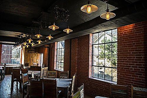 West Elm LED A19 Nostálgico Edison Loop Filamento Bombilla 2100K Transparente - Quierox - Tienda Online